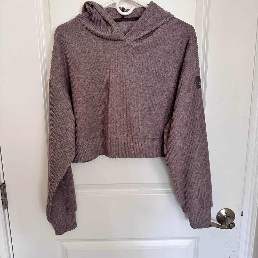Alo Yoga muse cropped sweatshirt and pants set in size Small raisentte